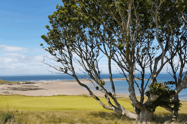 The Renaissance Club