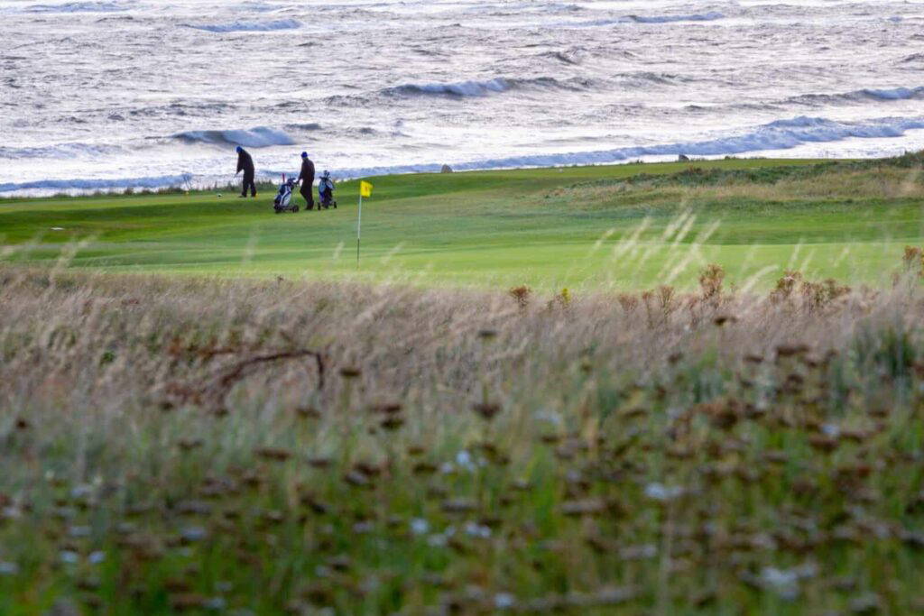 Winter golf